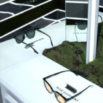 BLUE ELEPHANT GLASSES