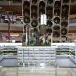 BLUE ELEPHANT GLASSES